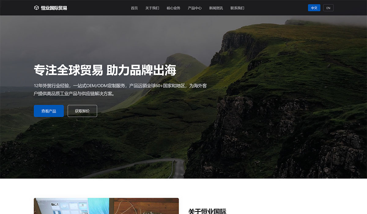 中文首页效果预览
